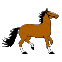 Horse Trot — cartoon emoji for Slack & Discord