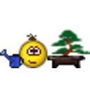 Watering Bonsai — emoji emoji for Slack & Discord