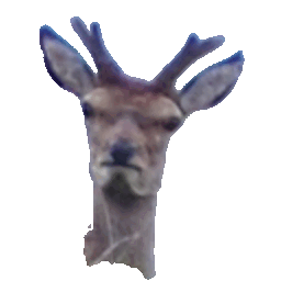 Deer Upset — animal emoji for Slack & Discord (Discord)