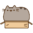 Pusheenbox — cartoon emoji for Slack & Discord