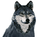 Rare Wolf — animal emoji for Slack & Discord