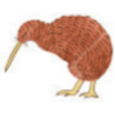 Kiwibird — cartoon emoji for Slack & Discord
