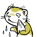 Ferret Cry — cartoon emoji for Slack & Discord
