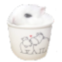 Bunny Cup — cartoon emoji for Slack & Discord
