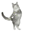 Glowsticks Dancingcat — animal emoji for Slack & Discord
