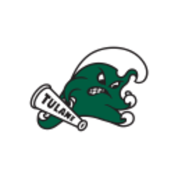Tulane — logo emoji for Slack & Discord (Discord)