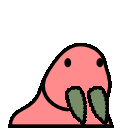 Partywalrus — walrus emoji for Slack & Discord