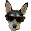 Koolgordy — dog emoji for Slack & Discord