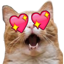 Cat Heart Eyes — cat emoji for Slack & Discord