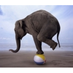 Hadoop Balancer — animal emoji for Slack & Discord (Discord)