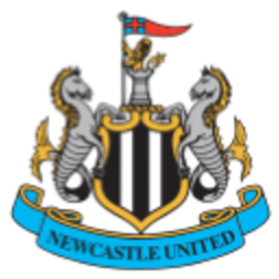 Newcastle — logo emoji for Slack & Discord (Discord)