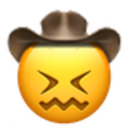 Confounded Cowboy — emoji emoji for Slack & Discord