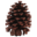 Pinecone 2 — nature emoji for Slack & Discord