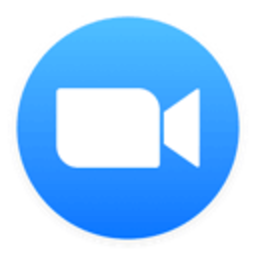 Zoom Brain — icon emoji for Slack & Discord (Discord)
