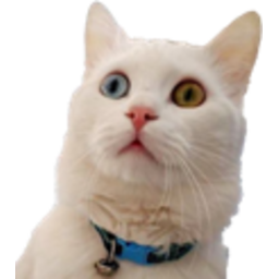 Coco — cat emoji for Slack & Discord (Discord)