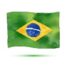 Flag Brasil — flag emoji for Slack & Discord (Discord)