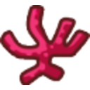 Coral — nature emoji for Slack & Discord