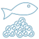 Fish Eggs — fish emoji for Slack & Discord