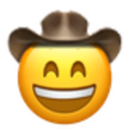 Smiling Cowboy — cartoon emoji for Slack & Discord (Discord)