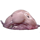 Blobfish — cartoon emoji for Slack & Discord