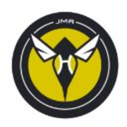 Jmr Hornets — logo emoji for Slack & Discord (Discord)