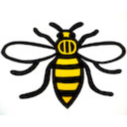 Manchester Bee — bee emoji for Slack & Discord (Discord)
