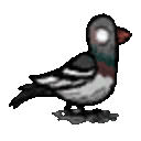Pigeon — animal emoji for Slack & Discord
