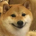 Dogo21 — dog emoji for Slack & Discord