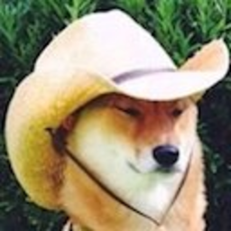 What In Tarnation — dog emoji for Slack & Discord (Discord)