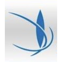 Bluefiremegacoaster — blue emoji for Slack & Discord