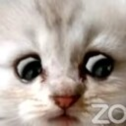 Lawyer Cat — cat emoji for Slack & Discord (Discord)