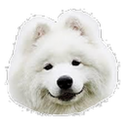 Samoyed — dog emoji for Slack & Discord (Discord)