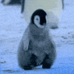 Dancing Penguin — penguin emoji for Slack & Discord (Discord)