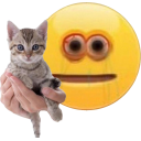 Hold Kitty — cat emoji for Slack & Discord
