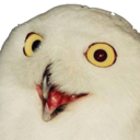 Yarly — owl emoji for Slack & Discord