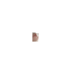 Vibing Cat — cat emoji for Slack & Discord (Discord)