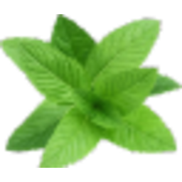 Mint Leaf — green emoji for Slack & Discord (Discord)
