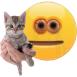Hold Kitty — cat emoji for Slack & Discord (Discord)