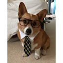 Business Corgi — dog emoji for Slack & Discord