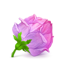 Rose Pink — flower emoji for Slack & Discord