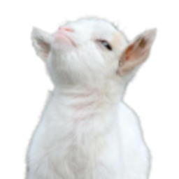 Smug Goat — animal emoji for Slack & Discord (Discord)