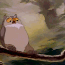 Bambi Owl — animal emoji for Slack & Discord