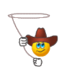 Cowboy Rope — cowboy emoji for Slack & Discord (Discord)