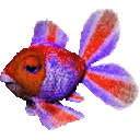 Rainbow Fish — animal emoji for Slack & Discord