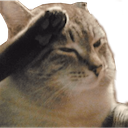 Cat Salute — cat emoji for Slack & Discord