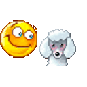 Pet Poodle — emoji emoji for Slack & Discord