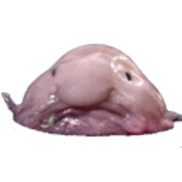Blobfish — cartoon emoji for Slack & Discord (Discord)