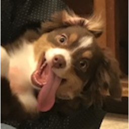 Winniemoji — dog emoji for Slack & Discord (Discord)