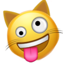 Zany Cat Face — cat emoji for Slack & Discord