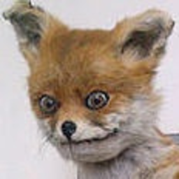 Wrong — animal emoji for Slack & Discord (Discord)